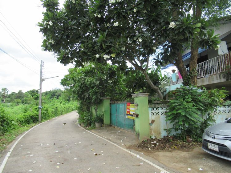 ใช่ 💖 บ้าน เมืองลำปาง ราคาพิเศษ! 💖 รูปที่ 3