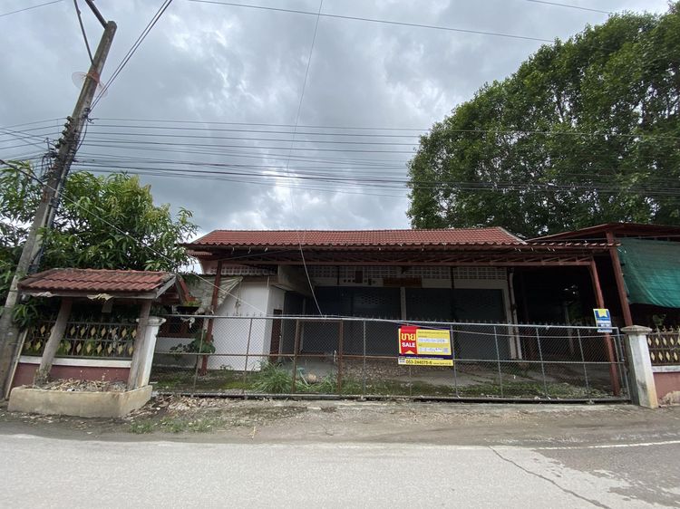 ใช่ 💖 บ้าน บ้านโฮ่ง ราคาพิเศษ! 💖 รูปที่ 2