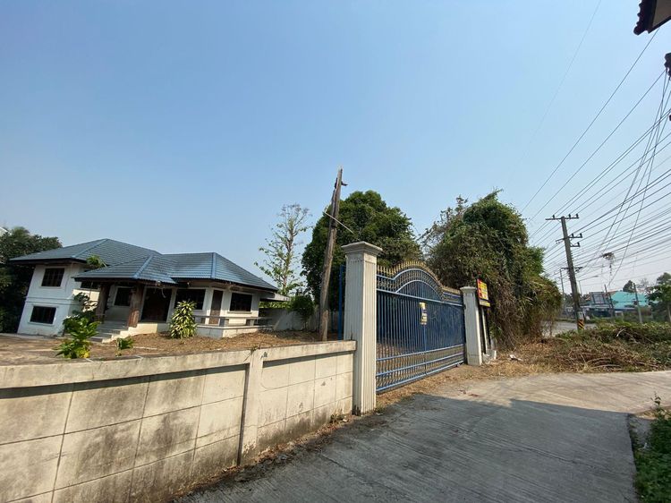 ใช่ 💖 บ้าน บ้านโฮ่ง ราคาพิเศษ! 💖 รูปที่ 2