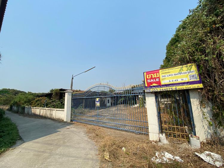 💖 บ้าน บ้านโฮ่ง ราคาพิเศษ! 💖