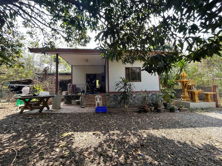 ใช่ 💖 บ้าน ปากช่อง ราคาพิเศษ! 💖 รูปที่ 3