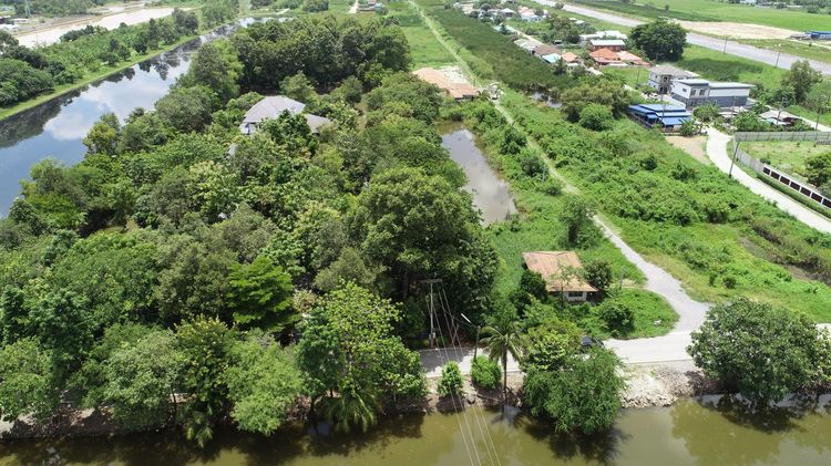 ใช่ 💖 บ้าน คลองหลวง ราคาพิเศษ! 💖 รูปที่ 3