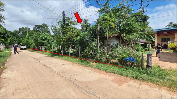 ใช่ 💖 บ้าน สุวรรณภูมิ ราคาพิเศษ! 💖 รูปที่ 3