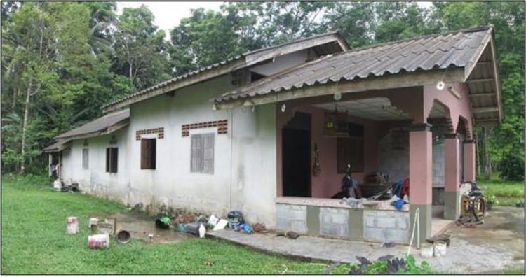 ใช่ 💖 บ้าน นาโยง ราคาพิเศษ! 💖 รูปที่ 4