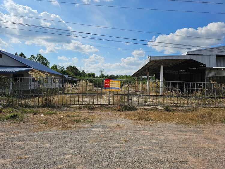 💖 บ้าน ศรีธาตุ ราคาพิเศษ! 💖