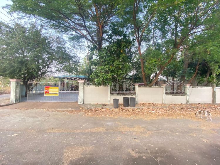 💖 บ้าน เมืองอำนาจเจริญ ราคาพิเศษ! 💖