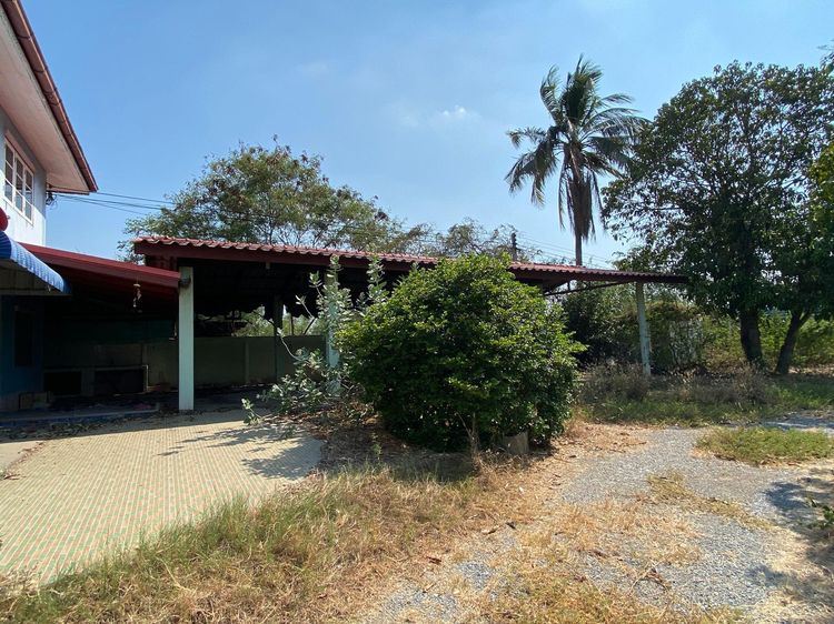 ใช่ 💖 บ้าน วิเศษชัยชาญ ราคาพิเศษ! 💖 รูปที่ 4