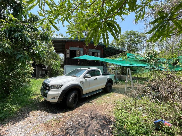 ใช่ 💖 บ้าน ไชโย ราคาพิเศษ! 💖 รูปที่ 4