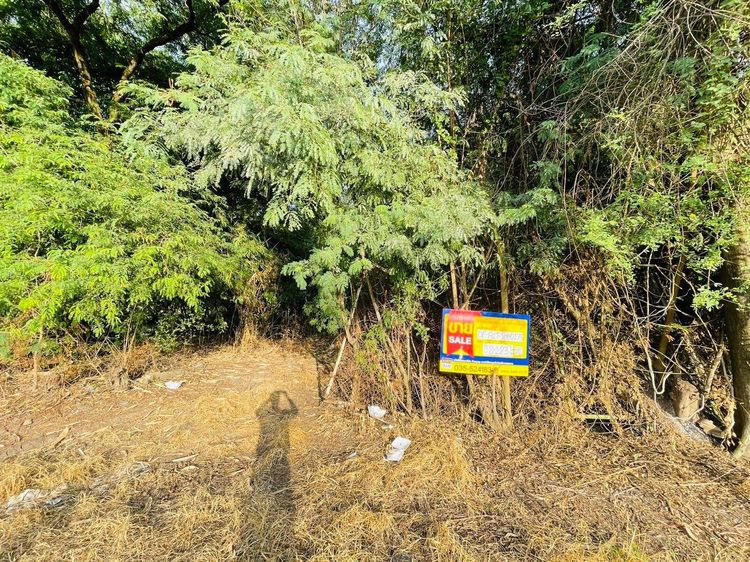 💖 บ้าน อุทัย ราคาพิเศษ! 💖