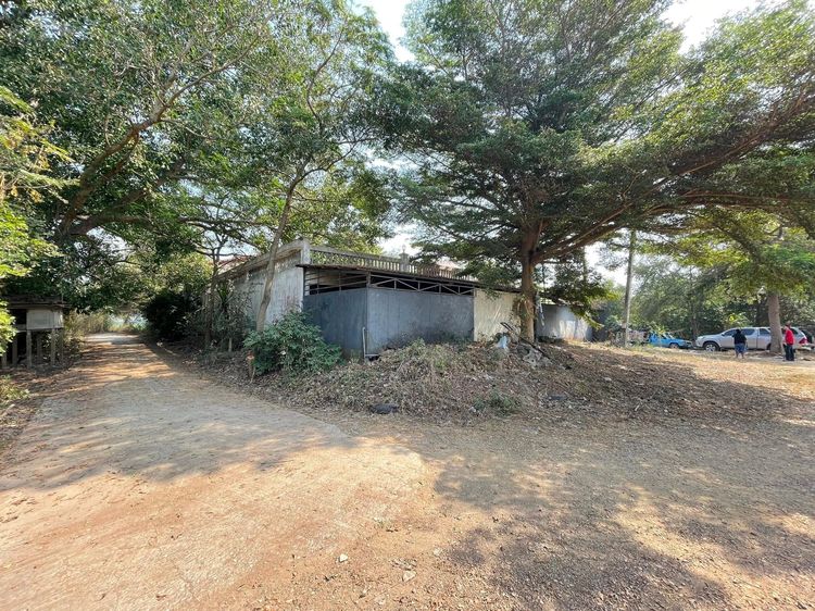 ใช่ 💖 บ้าน มหาราช ราคาพิเศษ! 💖 รูปที่ 2