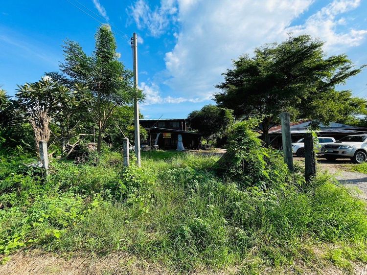 ใช่ 💖 บ้าน ท่าเรือ ราคาพิเศษ! 💖 รูปที่ 2