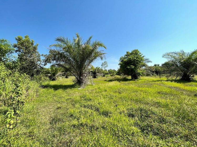 āđāļāđ ð āļāđāļēāļ āļāļĢāđāļāļĢāļīāļ āļĢāļēāļāļēāļāļīāđāļĻāļĐ! ð āļĢāļđāļāļāļĩāđ 3