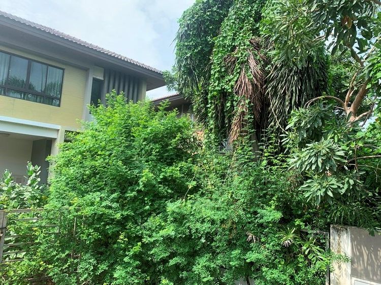 ใช่ 💖 บ้าน คลองสามวา ราคาพิเศษ! 💖 รูปที่ 3