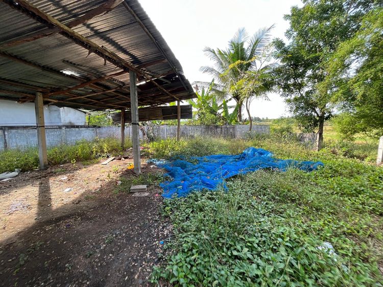 āđāļāđ ð āļāđāļēāļ āļāļđāđāļĄāļ·āļāļ āļĢāļēāļāļēāļāļīāđāļĻāļĐ! ð āļĢāļđāļāļāļĩāđ 3