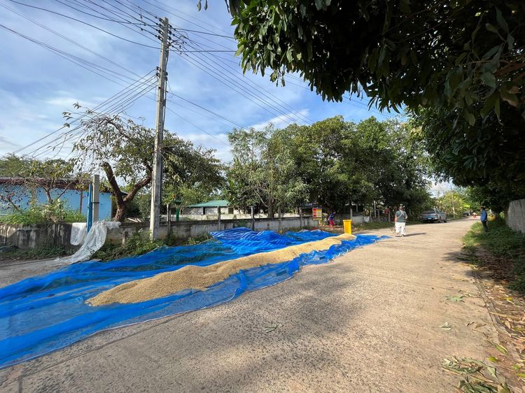 āđāļāđ ð āļāđāļēāļ āļāļđāđāļĄāļ·āļāļ āļĢāļēāļāļēāļāļīāđāļĻāļĐ! ð āļĢāļđāļāļāļĩāđ 2