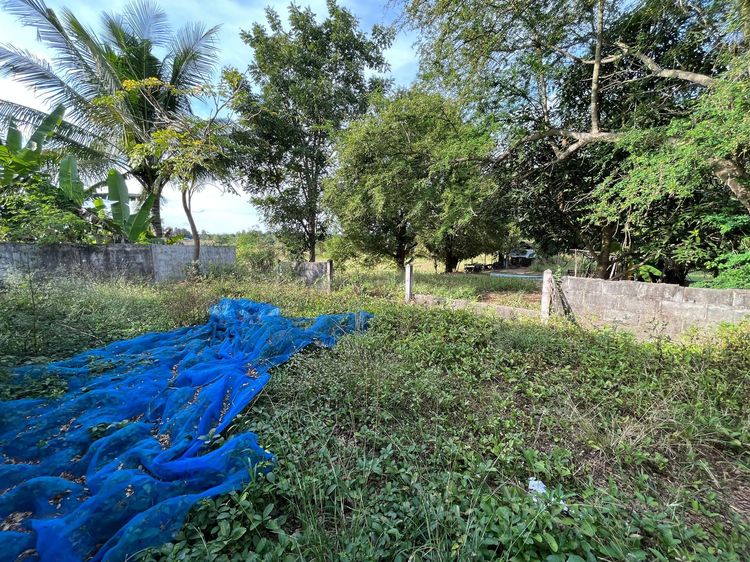 ใช่ 💖 บ้าน คูเมือง ราคาพิเศษ! 💖 รูปที่ 4