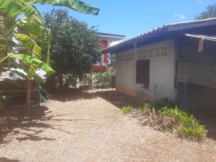 āđāļāđ ð āļāđāļēāļ āļāļēāļ āļĢāļēāļāļēāļāļīāđāļĻāļĐ! ð āļĢāļđāļāļāļĩāđ 3