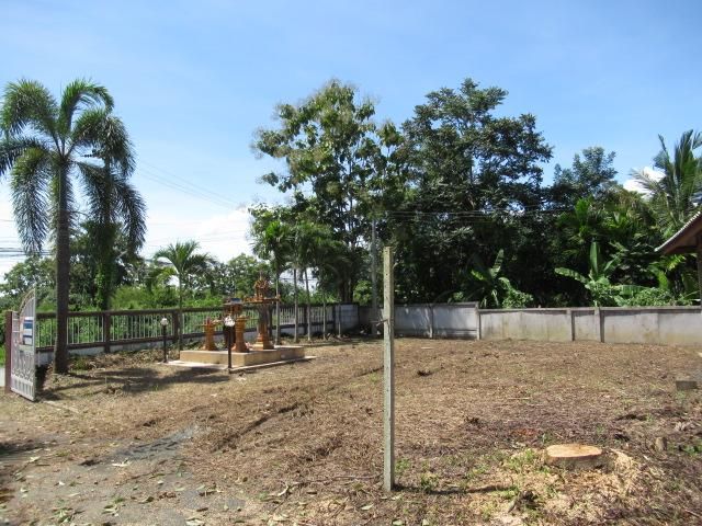 ใช่ 💖 บ้าน ดอยสะเก็ด ราคาพิเศษ! 💖 รูปที่ 4