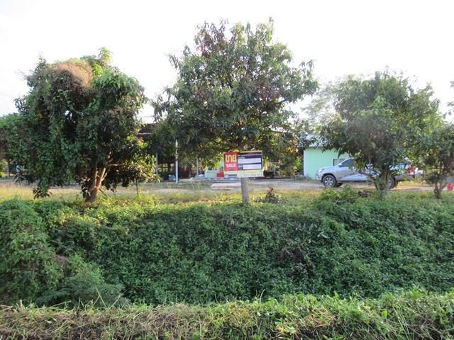 💖 บ้าน ไชยปราการ ราคาพิเศษ! 💖