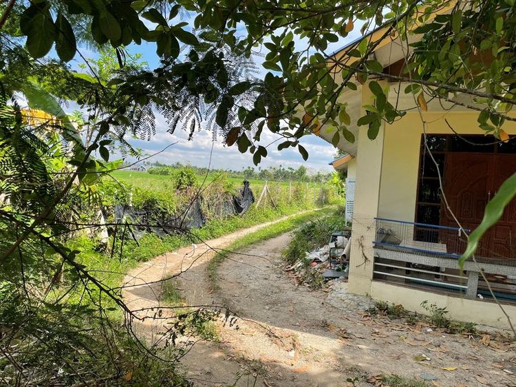 ใช่ 💖 บ้าน สันทราย ราคาพิเศษ! 💖 รูปที่ 3