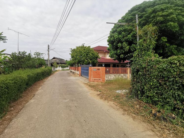 ใช่ 💖 บ้าน สันป่าตอง ราคาพิเศษ! 💖 รูปที่ 3