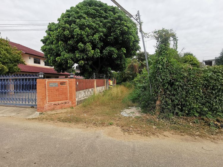 ใช่ 💖 บ้าน สันป่าตอง ราคาพิเศษ! 💖 รูปที่ 2