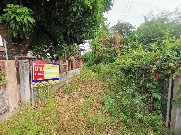 💖 บ้าน สันป่าตอง ราคาพิเศษ! 💖