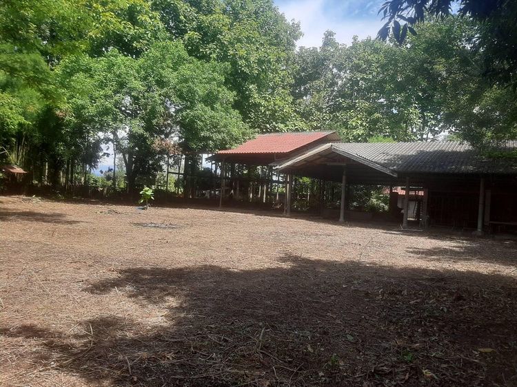 āđāļāđ ð āļāđāļēāļ āļāļēāļ āļĢāļēāļāļēāļāļīāđāļĻāļĐ! ð āļĢāļđāļāļāļĩāđ 3