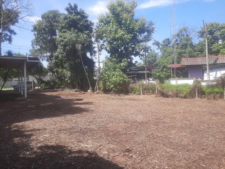 ใช่ 💖 บ้าน ฝาง ราคาพิเศษ! 💖 รูปที่ 4