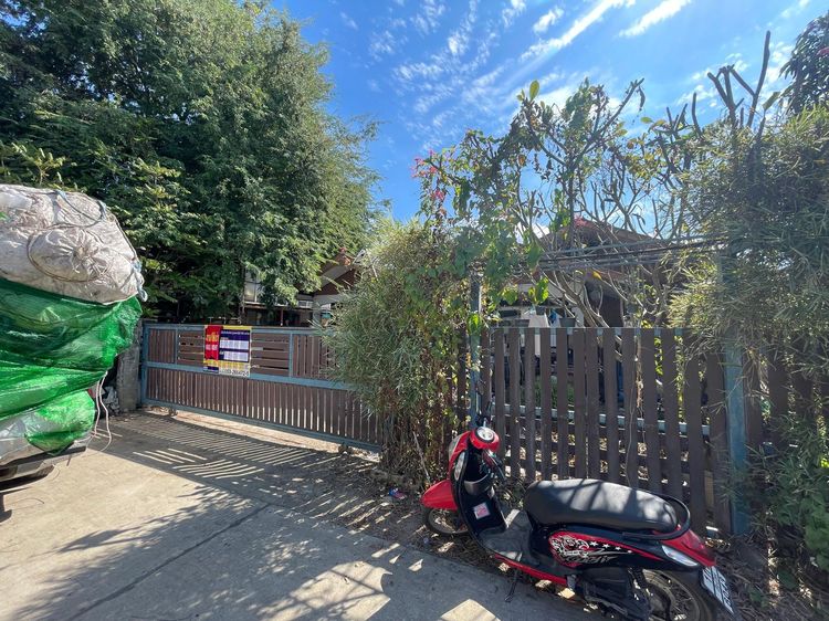 ใช่ 💖 บ้าน แม่ริม ราคาพิเศษ! 💖 รูปที่ 2