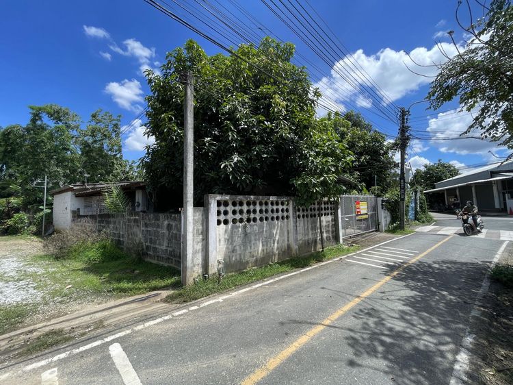 ใช่ 💖 บ้าน สันทราย ราคาพิเศษ! 💖 รูปที่ 3