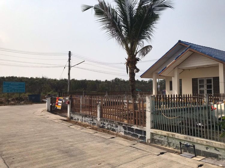 ใช่ 💖 บ้าน เมืองชลบุรี ราคาพิเศษ! 💖 รูปที่ 3