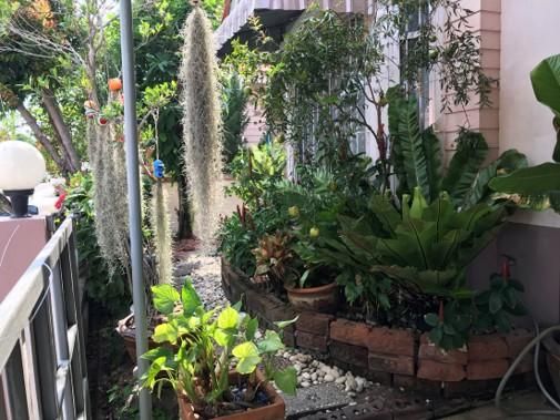 ใช่ 💖 บ้าน บางละมุง ราคาพิเศษ! 💖 รูปที่ 4