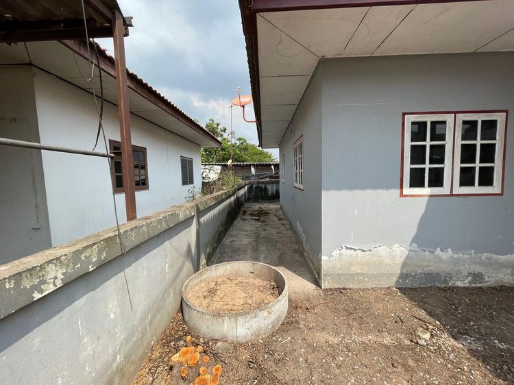 ใช่ 💖 บ้าน ศรีราชา ราคาพิเศษ! 💖 รูปที่ 4