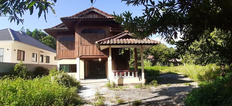 ใช่ 💖 บ้าน แม่จัน ราคาพิเศษ! 💖 รูปที่ 4