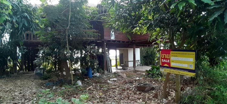 ใช่ 💖 บ้าน เวียงชัย ราคาพิเศษ! 💖 รูปที่ 4