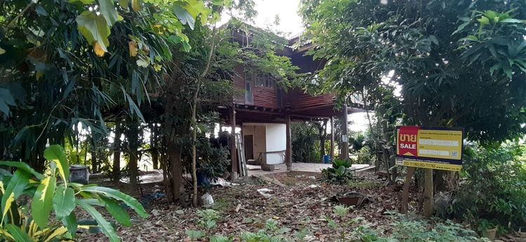 ใช่ 💖 บ้าน เวียงชัย ราคาพิเศษ! 💖