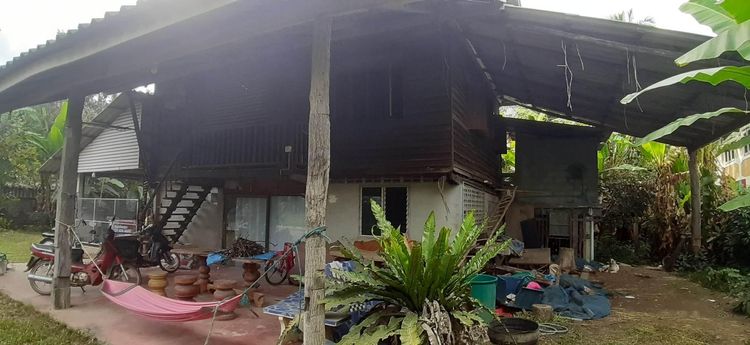 ใช่ 💖 บ้าน เทิง ราคาพิเศษ! 💖 รูปที่ 3