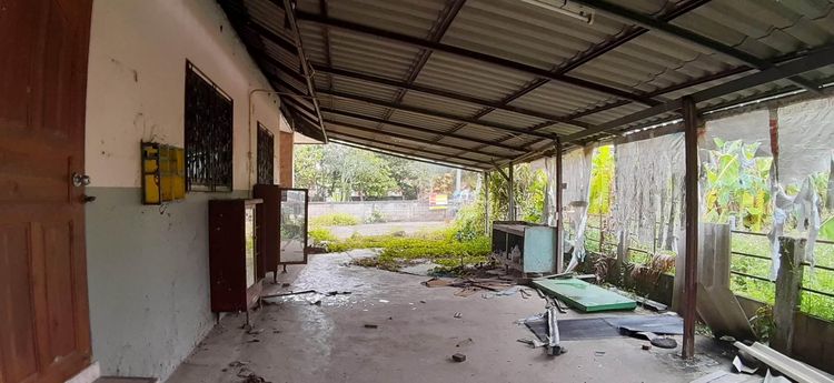 ใช่ 💖 บ้าน เมืองเชียงราย ราคาพิเศษ! 💖 รูปที่ 3