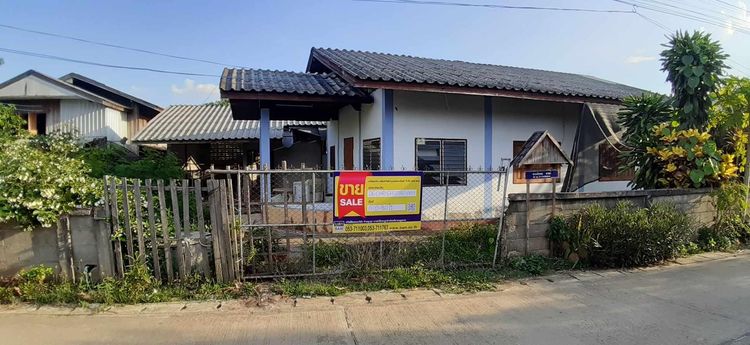 ใช่ 💖 บ้าน เวียงป่าเป้า ราคาพิเศษ! 💖