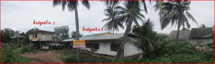 💖 บ้าน ภูเขียว ราคาพิเศษ! 💖