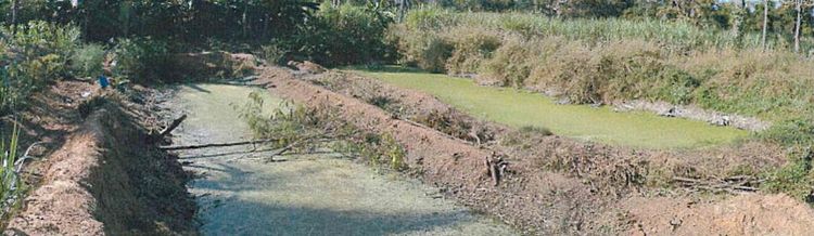 ใช่ 💖 บ้าน บ้านแท่น ราคาพิเศษ! 💖 รูปที่ 3