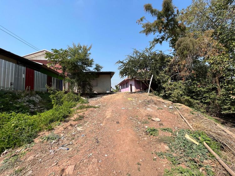 ใช่ 💖 บ้าน เมืองชัยภูมิ ราคาพิเศษ! 💖 รูปที่ 3