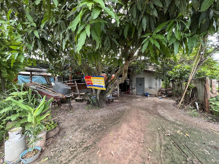 💖 บ้าน ภูเขียว ราคาพิเศษ! 💖