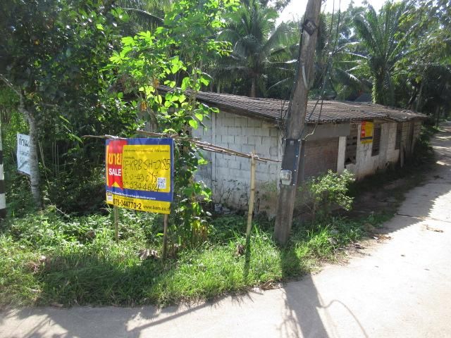 ใช่ 💖 บ้าน เหนือคลอง ราคาพิเศษ! 💖 รูปที่ 2