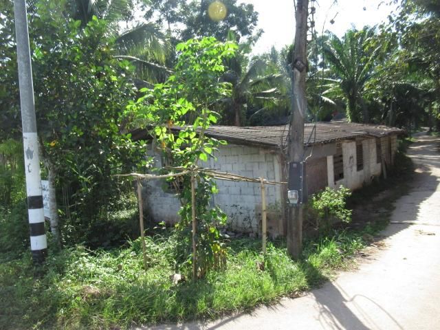 ใช่ 💖 บ้าน เหนือคลอง ราคาพิเศษ! 💖 รูปที่ 4