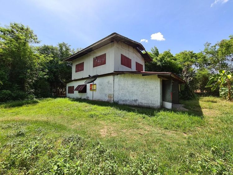 āđāļāđ ð āļāđāļēāļ āđāļĄāļ·āļāļāļāļēāļŽāļŠāļīāļāļāļļāđ āļĢāļēāļāļēāļāļīāđāļĻāļĐ! ð āļĢāļđāļāļāļĩāđ 2