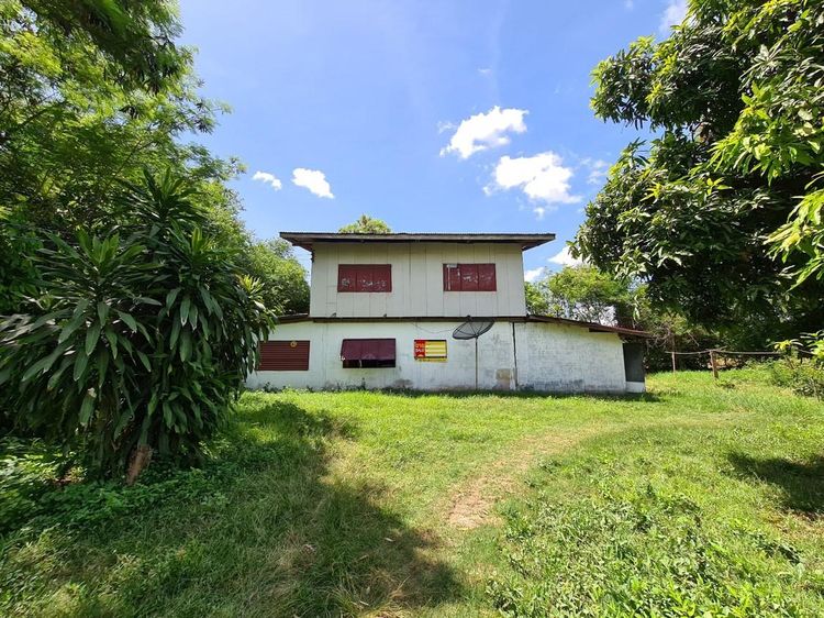 āđāļāđ ð āļāđāļēāļ āđāļĄāļ·āļāļāļāļēāļŽāļŠāļīāļāļāļļāđ āļĢāļēāļāļēāļāļīāđāļĻāļĐ! ð āļĢāļđāļāļāļĩāđ 3