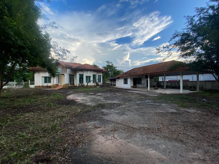 💖 บ้าน หนองกุงศรี ราคาพิเศษ! 💖