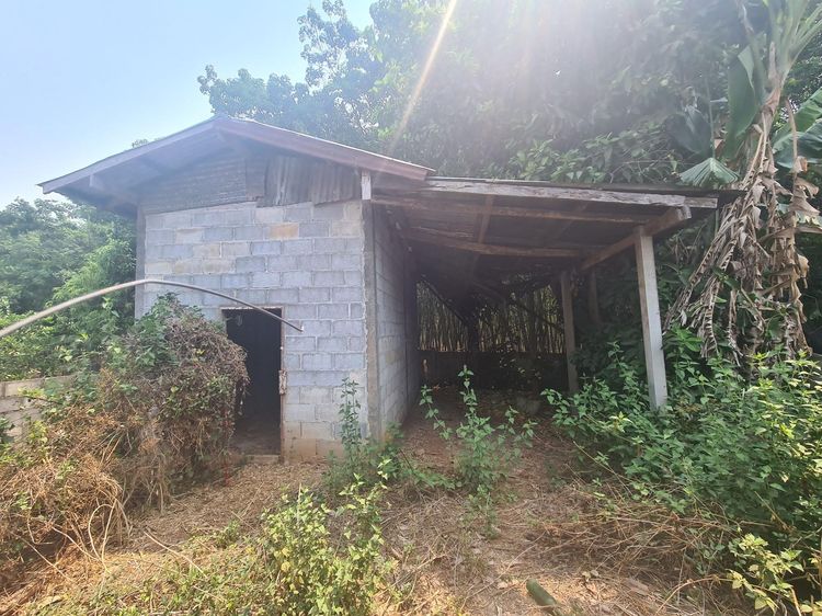 ใช่ 💖 บ้าน นาด้วง ราคาพิเศษ! 💖 รูปที่ 3